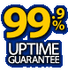 99.9% UPTIME GUARANTEE